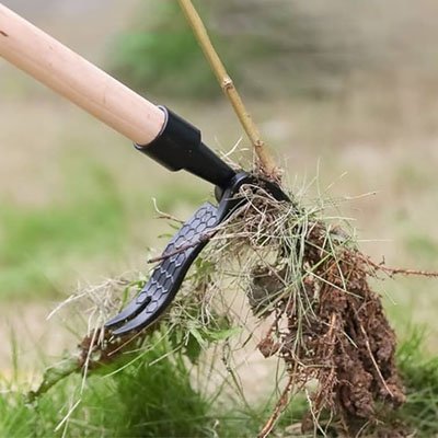 Désherbeur retirant mauvaises herbes de la terre