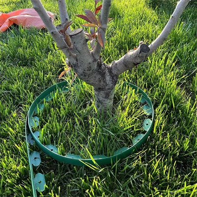 Bordure de jardin flexible déposer autour tronc d'arbre sur gazon