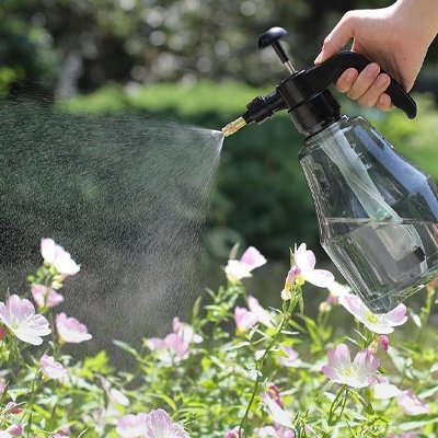 Pulverisateur professionel gris arrosant  joli fleur rose avec légère brume