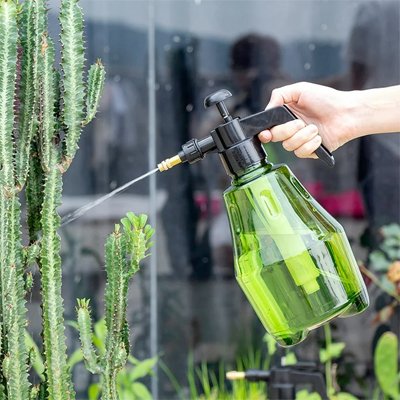 Pulverisateur professionel vert arrosant  cactus avec jet directionnel 
