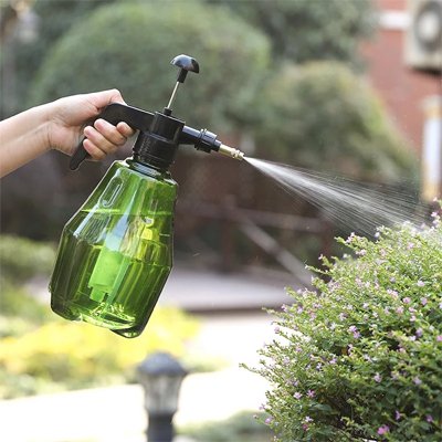 Pulverisateur professionel vert arrosant  thym fleuri avec jet directionnel 