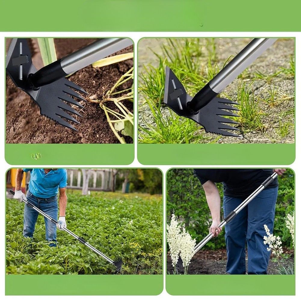 binettes outil de jardinage utilise fleurs terre gazon plantes