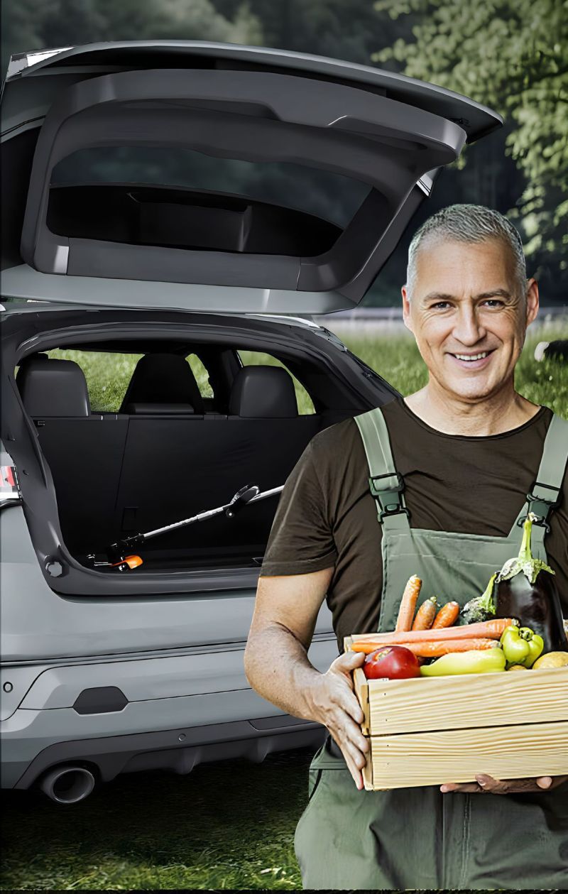 coupe bordure sans  fil entrant  dans valise de voiture