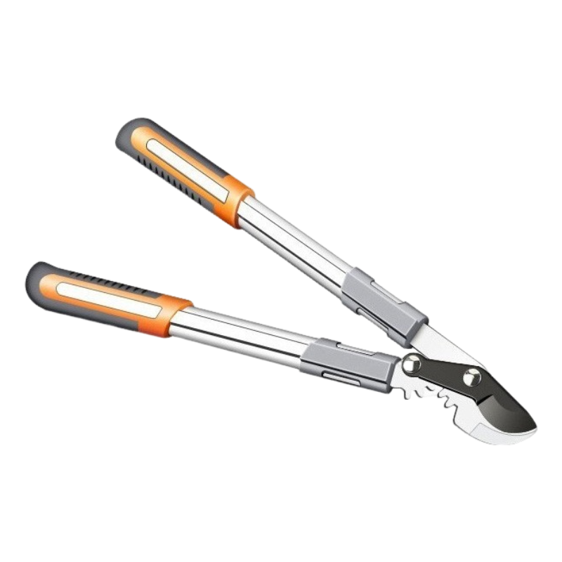 coupe branche sur fond blanc