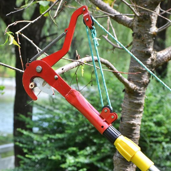 coupe branche télescopique vu côté sur coupe de branche