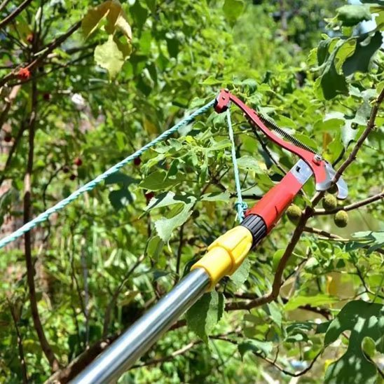 coupe branche télescopique vu en diagonale branche
