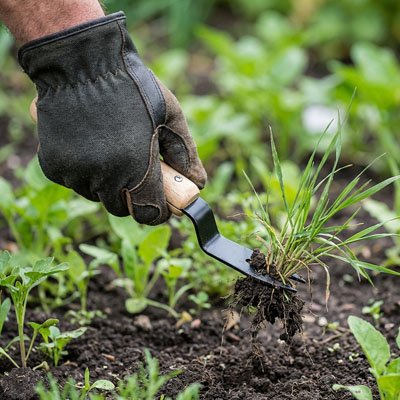 désherbeur-écologique-grosse-herbes-vertes
