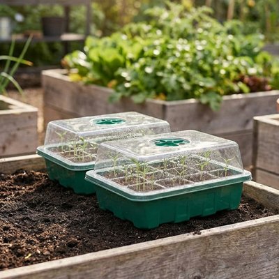  Deux Mini serre de jardin posée dans un carré de jardin sans plantes, avec de jeunes pousses visibles