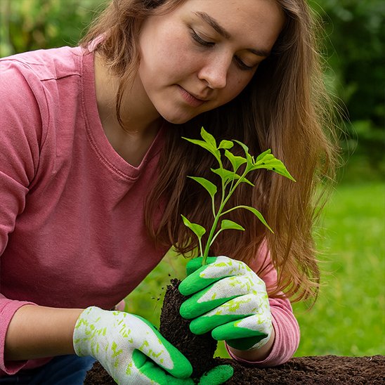 femme qui jardine avec Gants de jardinage et qui tient plante dans ses mains 