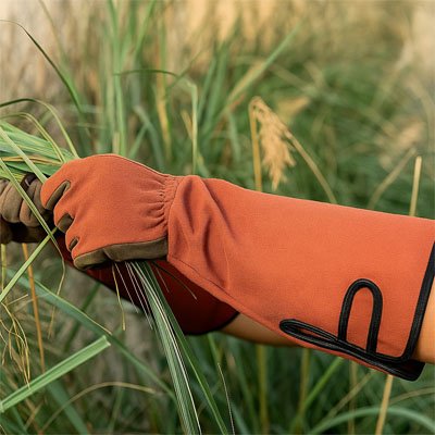 gants anti-coupures utilisé pour des herbes coupante