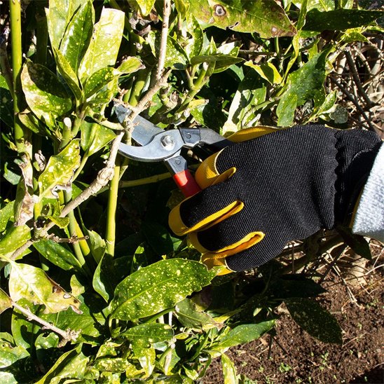 gants de protection anti coupure