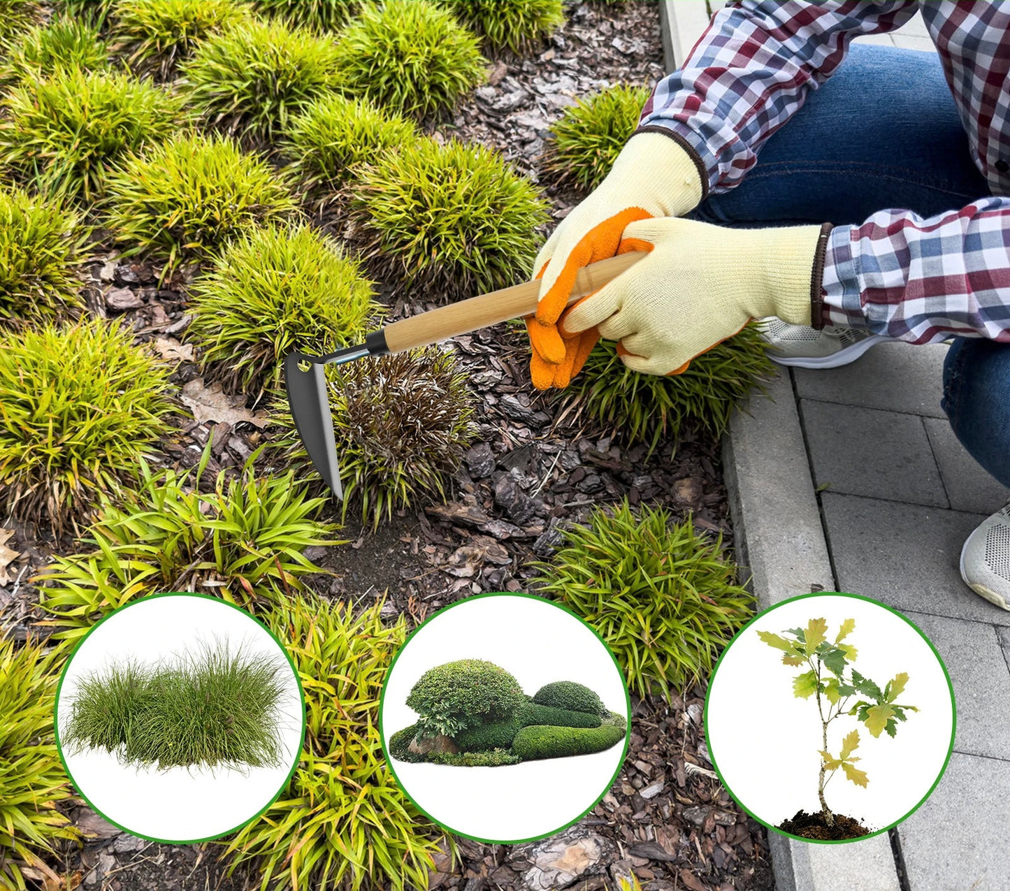 outils de jardinage binette jardinier accroupi jardin plante raz sol