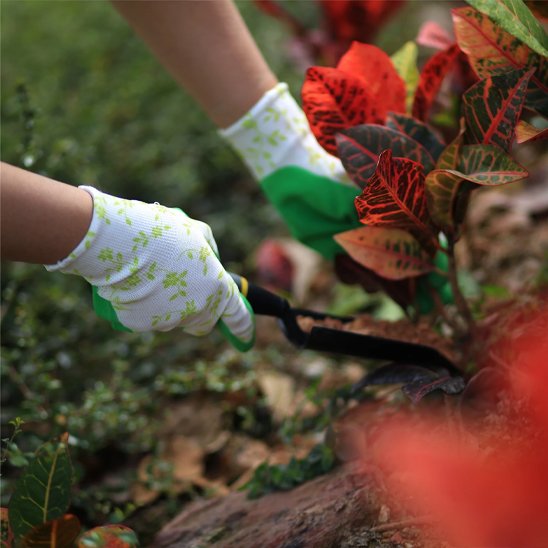 personne qui a des Gants de jardinage et qui jardine
