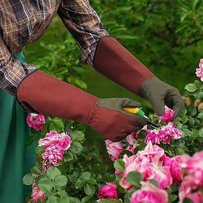personne qui jardine avec gants anti-coupures 