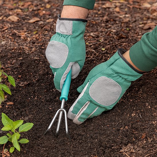 personne qui jardine avec Gants de jardinage avec outil à la main