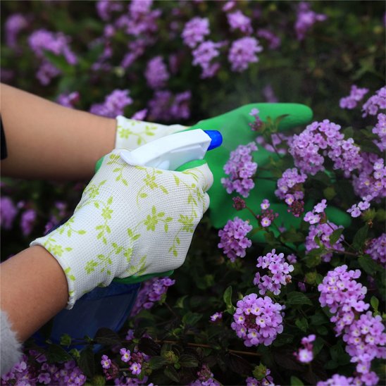 personne qui porte ses Gants de jardinage et arrose fleur mauve