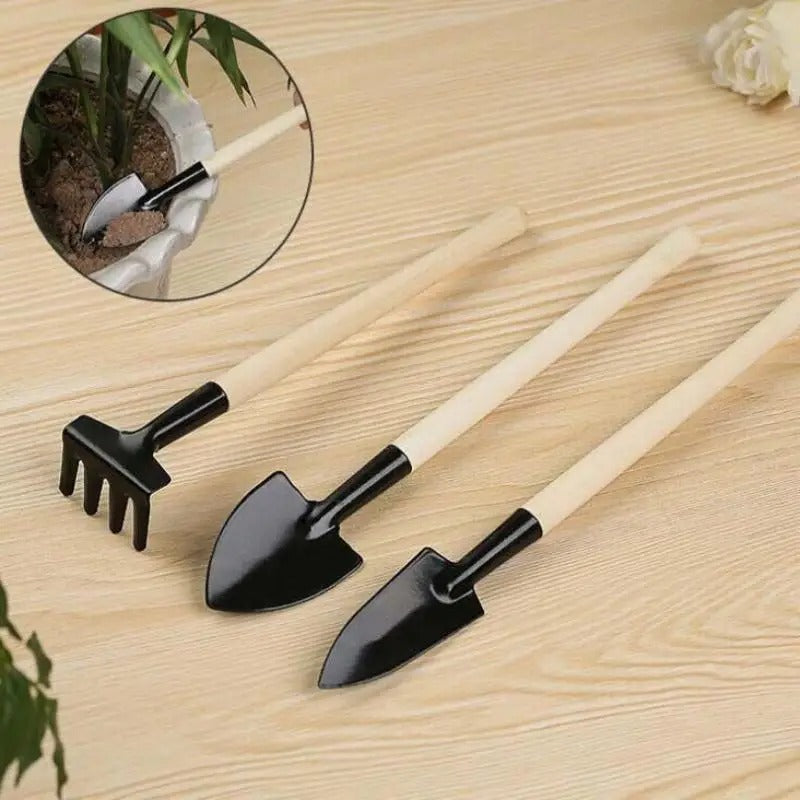 petite pelle jardinage dépose sur table