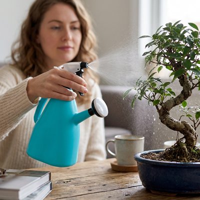 pulverisateur bleu utilisé par femme sur bonsai