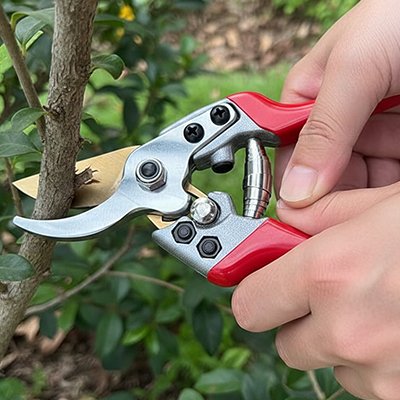 Secateur coupant branche vus de près