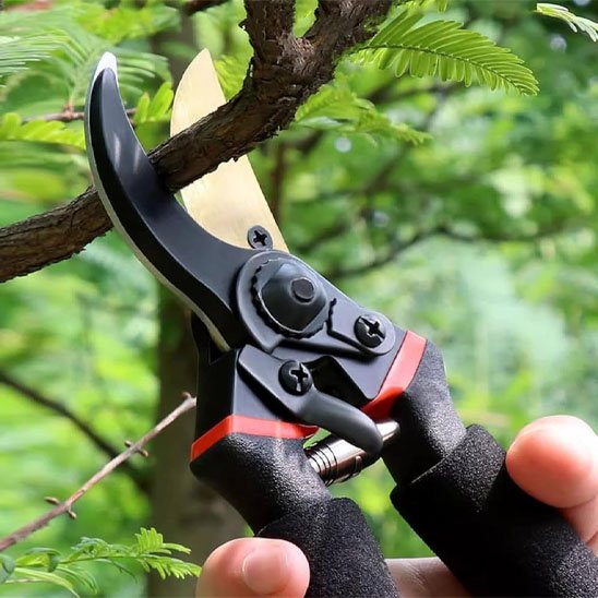 Sécateur coupant une moyenne branche