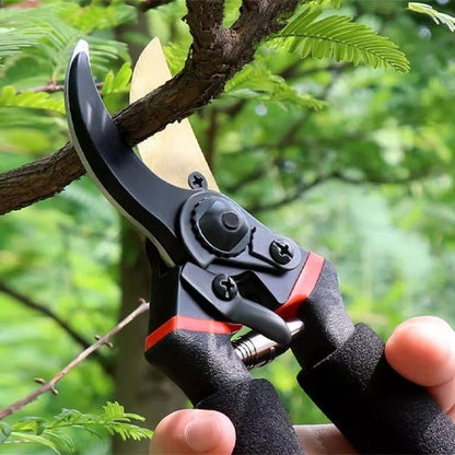 Sécateur coupant une moyenne branche