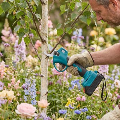 sécateur-éectrique-tenu-homme-coupe-branche-parmi-autre-arbre