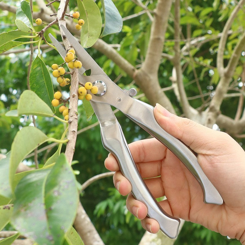 sécateur inox coupant petite branche fruits jaune