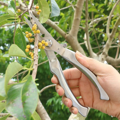 sécateur inox coupant petite branche fruits jaune