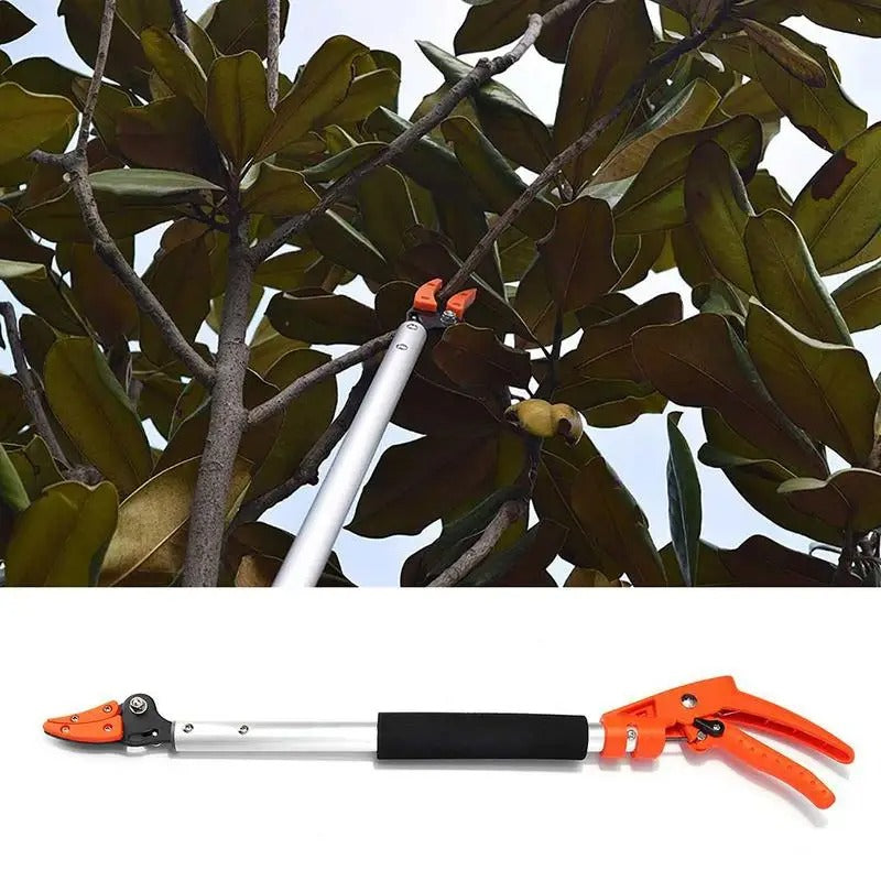 secateur telescopique branche haute