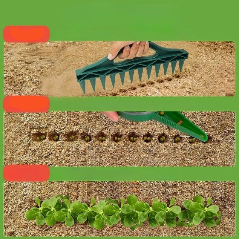 semoir manuel plantoir a 12  dents demonstrarion plantes qui poussent