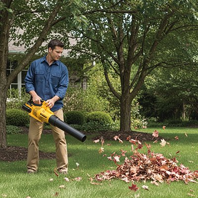Souffleur feuille utilisé par homme pour feuilles sur son terrain
